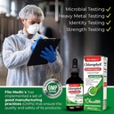 fito-medics-lab---ginkgo-biloba-for-memo-5.jpg