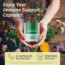 herbamama-goldenseal-and-milk-thistle-ki-2.jpg