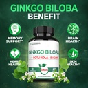 1520mg-ginkgo-biloba-supplements-with-go-5.jpg