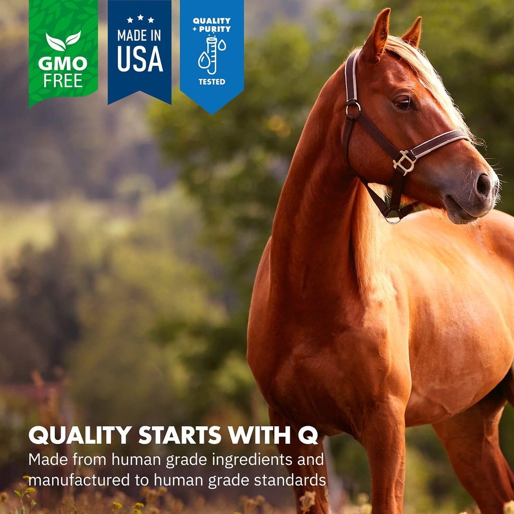 healthygutTM-probiotics-for-horses-dieta-6.jpg