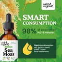 wild-organic-sea-moss-liquid-drops---imm-4.jpg