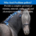 su-per-psyllium-pellets-equine-supplemen-4.jpg