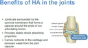 hyalogic-synthovial-seven-hyaluronic-aci-5.jpg