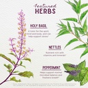 wishgarden-herbs-chlorophyll-friends---c-4.jpg