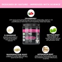 pet-chef-urinary-cat-treats-low-calorie--5.jpg