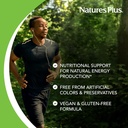 natures-plus-b12-herbal-lozenges-methylc-4.jpg