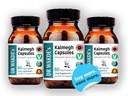 dr-wakdes-kalmegh-capsules-andrographis--4.jpg