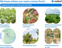 pure-herbal-neem-leaf-capsules---180-cou-4.jpg