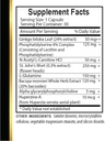 brain-memory-support---memory-function-s-2.jpg