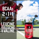 bsn-amino-x-muscle-recovery-endurance-po-4.jpg