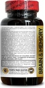brain-memory-support---brain-optimizatio-4.jpg