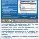 bio-fiber-kidney-cleanse-detox-repair----6.jpg
