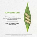 secrets-of-the-tribe-chamomile-60-capsul-2.jpg