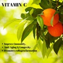 roex-vitamins-vitamin-c-mineral-ascorbat-2.jpg