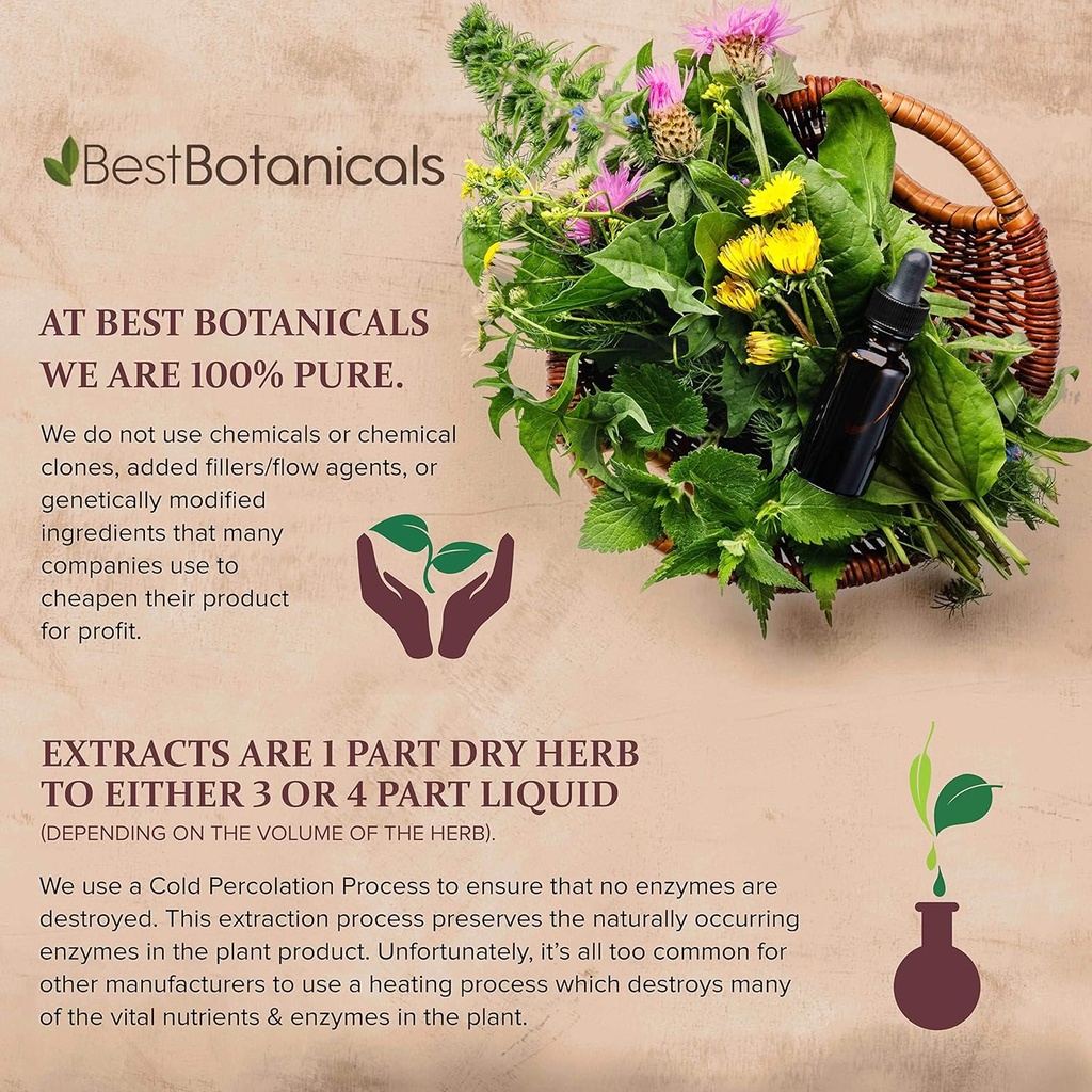 best-botanicals-bladderwrack-herb-powder-3.jpg