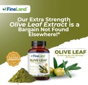 fineland-olive-leaf-extract-50x-25000mg--3.jpg