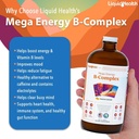 liquidhealth-adult-focus-energy-liquid-v-5.jpg