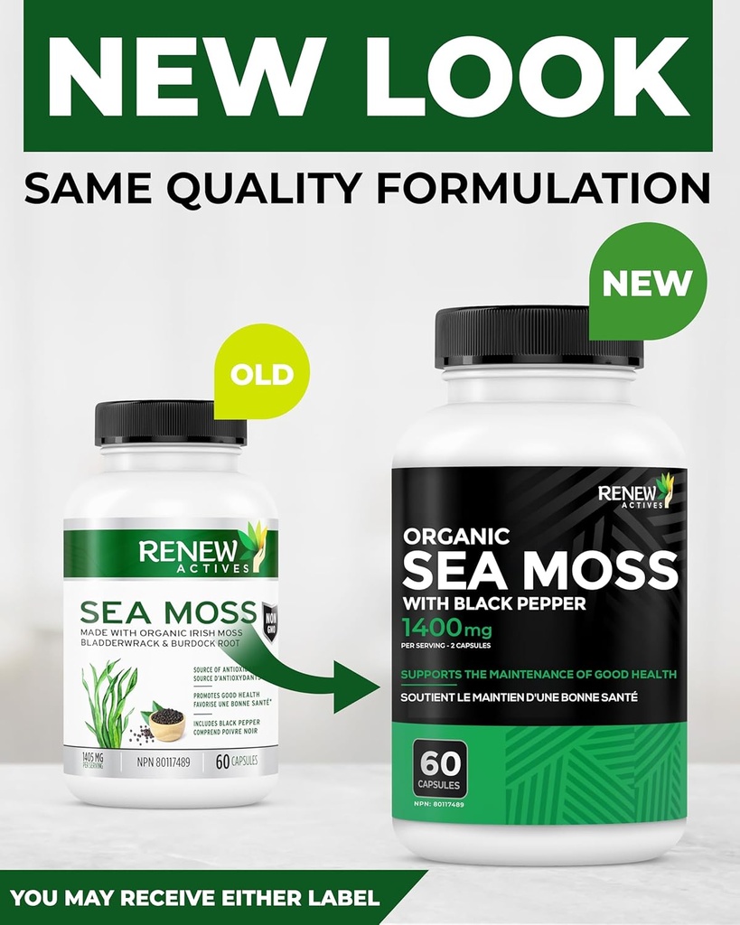 renew-actives-sea-moss-triple-action-ant-3.jpg