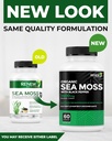 renew-actives-sea-moss-triple-action-ant-3.jpg