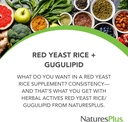 naturesplus-red-yeast-rice-gugulipid-com-2.jpg