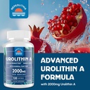 urolithin-a-2000mg-4.jpg