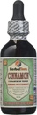herbal-terra-llc-cinnamon-cinnamomum-ver-3.jpg