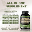gade-nutrition-magnesium-complex-10-in-1-3.jpg