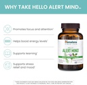 himalaya-hello-alert-mind-with-l-theanin-4.jpg