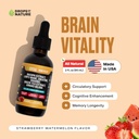 creatine-bacopa-liquid-drops-with-lions--2.jpg