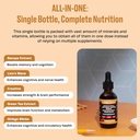 creatine-bacopa-liquid-drops-with-lions--3.jpg