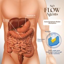 bernard-jensens-dr-clark-store-vitamin-b-6.jpg