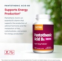 jarrow-formulas-pantothenic-acid-b5-500--3.jpg