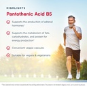 jarrow-formulas-pantothenic-acid-b5-500--4.jpg