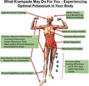 krampade-original-2k---2000mg-high-potas-3.jpg