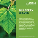 e2h-liquid-chlorophyll-and-liquid-turmer-4.jpg