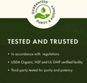 swanson-stinging-nettle-leaf-urtica-dioi-4.jpg