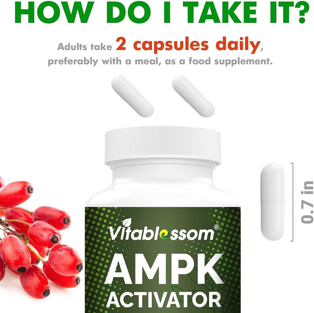 ampk-activator-supplement-5-in-1-jiaogul-6.jpg