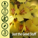natures-answer-alcohol-free-mullein-flow-5.jpg