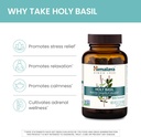 himalaya-holy-basil-60-day-supply---herb-4.jpg