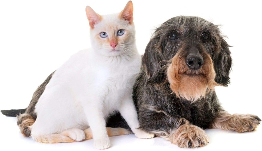 cat-urinary-chews---pets-urinary-health--3.jpg