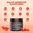 shilajit-gummies-sugar-free-gummies-500--5.jpg