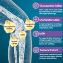 sugar-free-glucosamine-chondroitin-msm-1-3.jpg