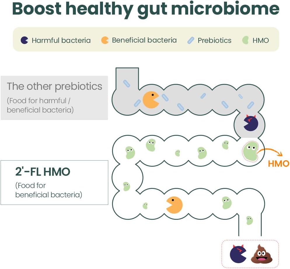 momstamin-2-fl-hmo-prebiotics-probiotics-4.jpg
