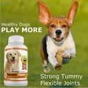 amazing-turmeric-for-dogs-curcumin-pet-a-4.jpg