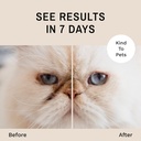 eye-envy-tear-stain-remover-powder-for-d-3.jpg