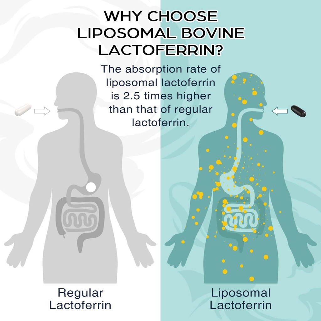 liposomal-bovine-lactoferrin-1000-mg---h-2.jpg