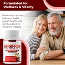 berberine-supplement-1800mg---premium-be-6.jpg