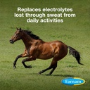 farnam-apple-elite-horse-electrolyte-pow-2.jpg