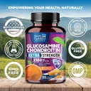 glucosamine-chondroitin-2100mg---3x-stre-4.jpg