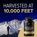 shilajit-capsules-high-strength-purified-6.jpg
